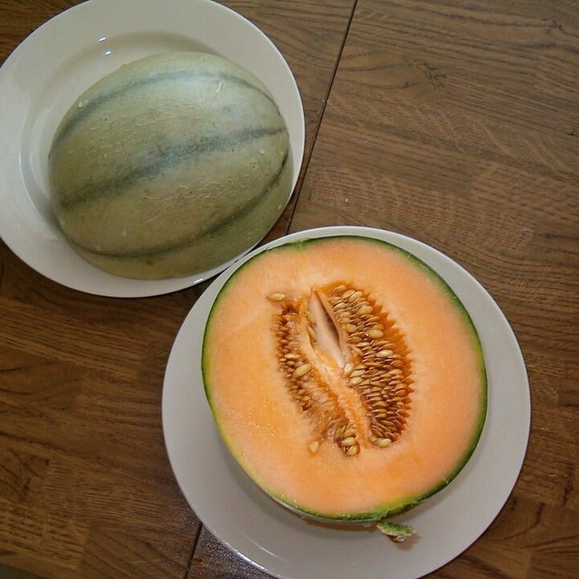 Charentais Melon