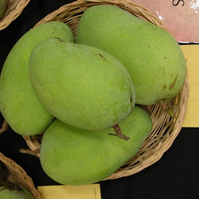 Himsagar Mango