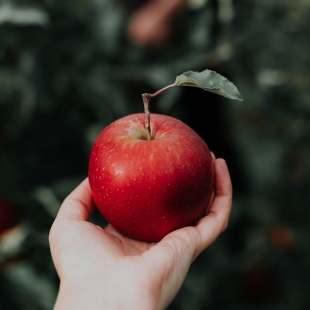 Kashmiri Apple
