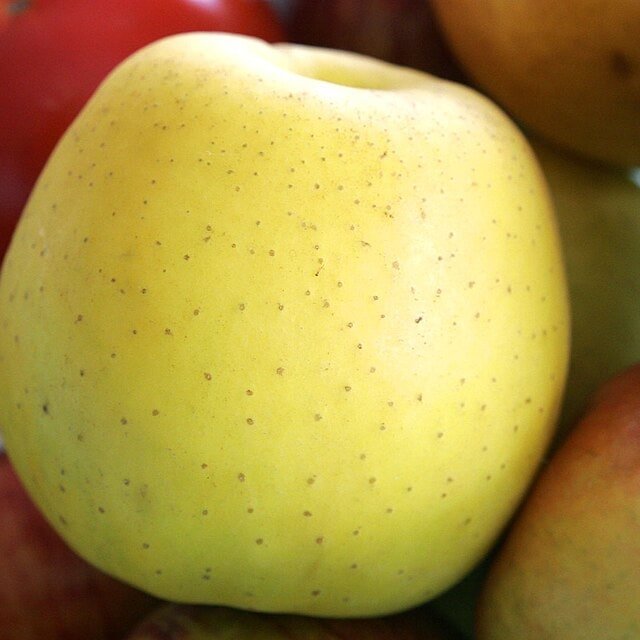 Kinnaur Apple