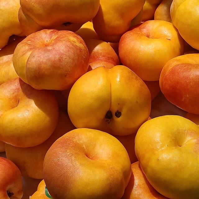 Donut Peach